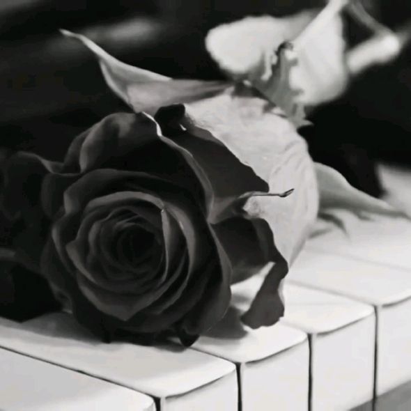 Иконка канала Любимые мелодии 🎶🎹🩷