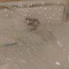 Иконка канала Водичка