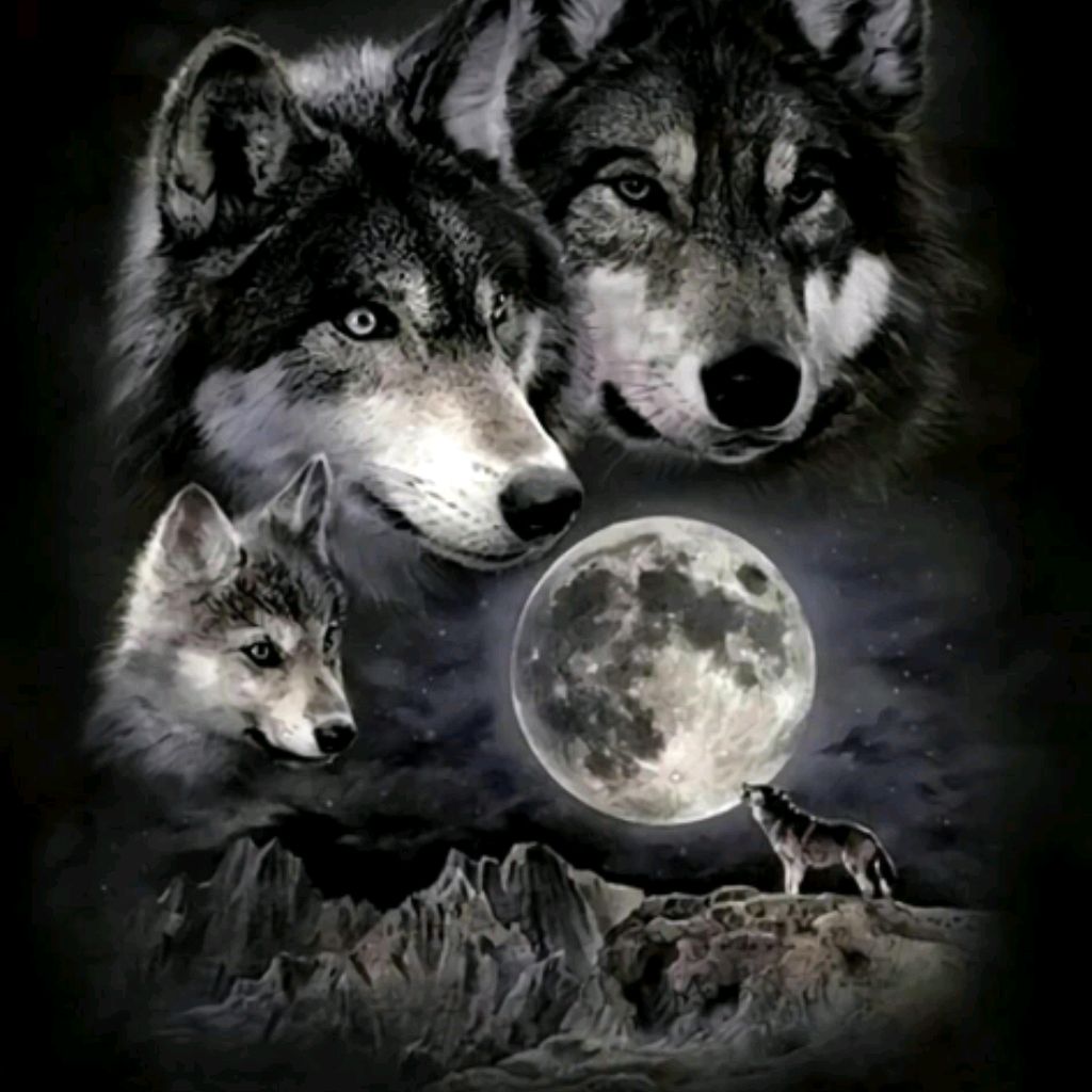 Иконка канала Сергей.