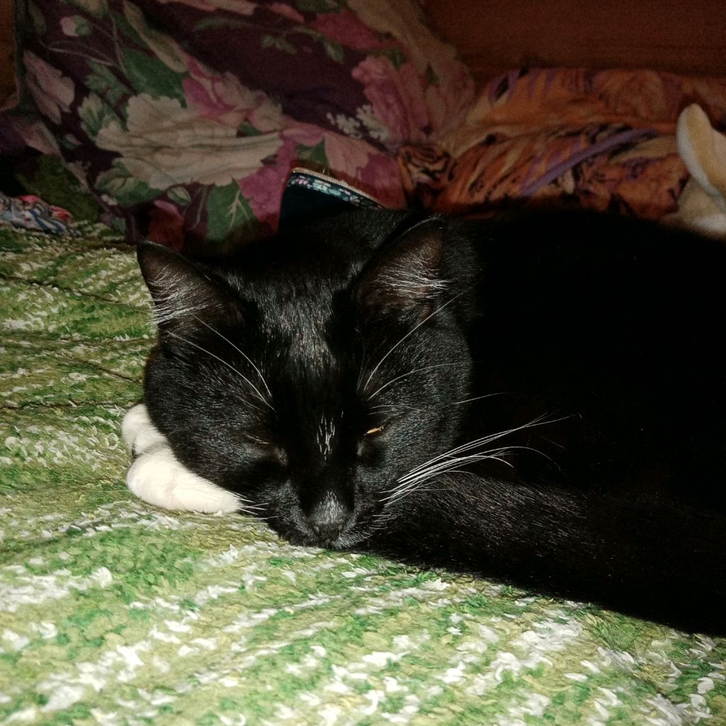 Иконка канала Жизнь бумажек