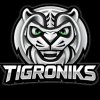 Иконка канала TIGRONIKS