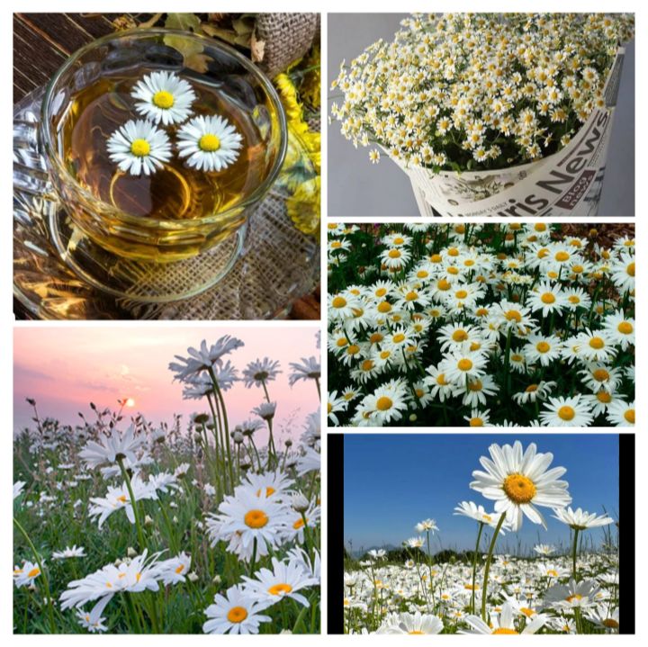 Иконка канала Януля😘