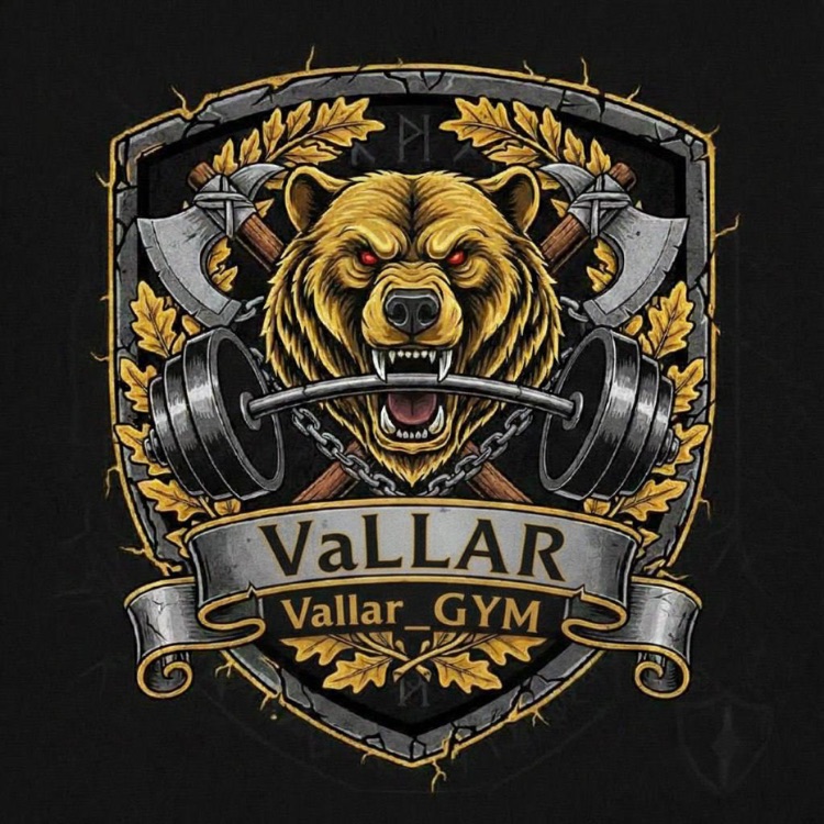 Иконка канала Vallar_GYM
