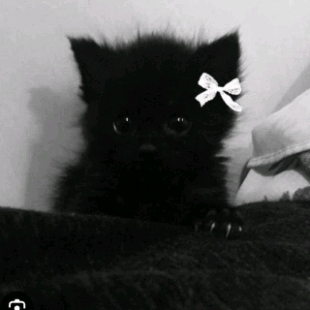 Иконка канала Sofia..♡