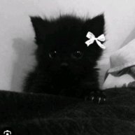 Иконка канала Sofia..♡