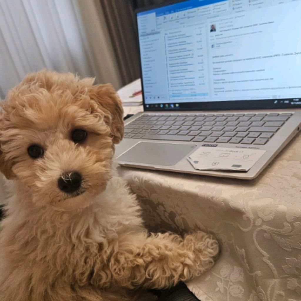 Иконка канала MaximkaGD