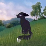 Иконка канала «ℨꫀׁׅܻ݊ꀘ_ℨꫀׁׅܻ݊ꀘ»