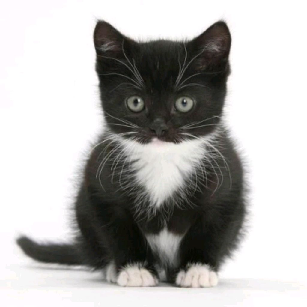 Иконка канала яся делает