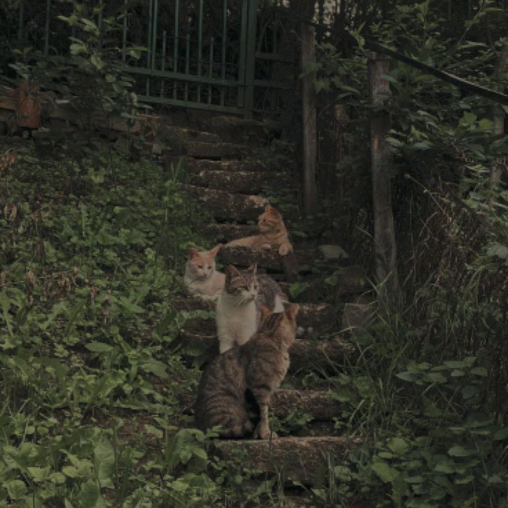 Иконка канала MINI VLOGS