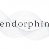 Иконка канала Endorphin Studio