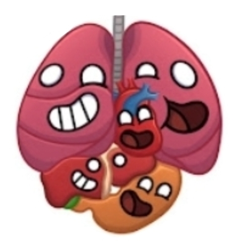 Иконка канала Наше Тело