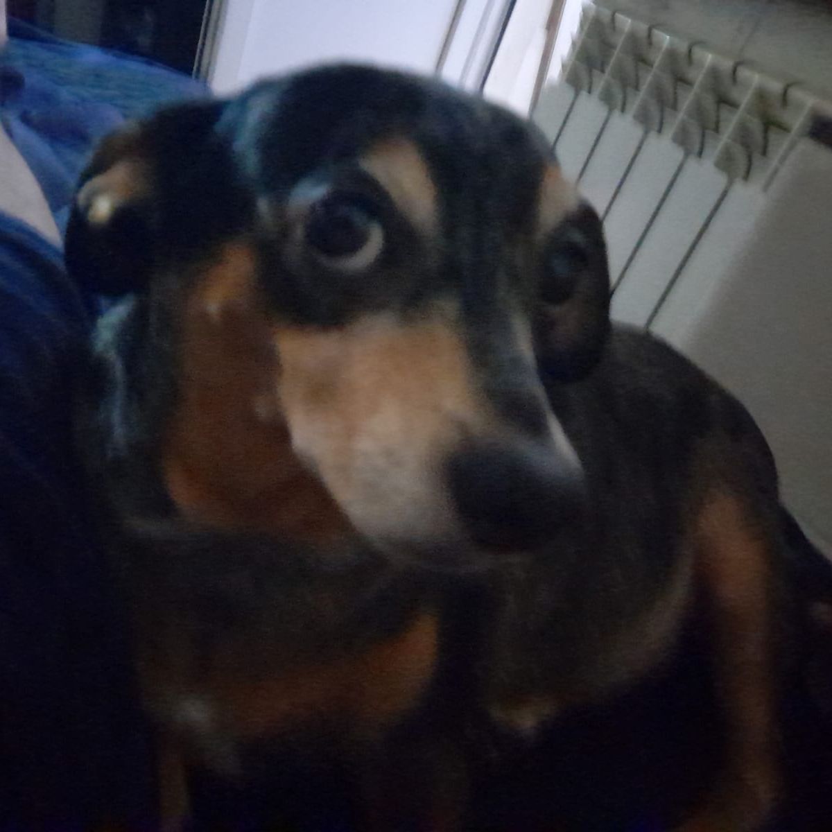 Иконка канала channel38919047