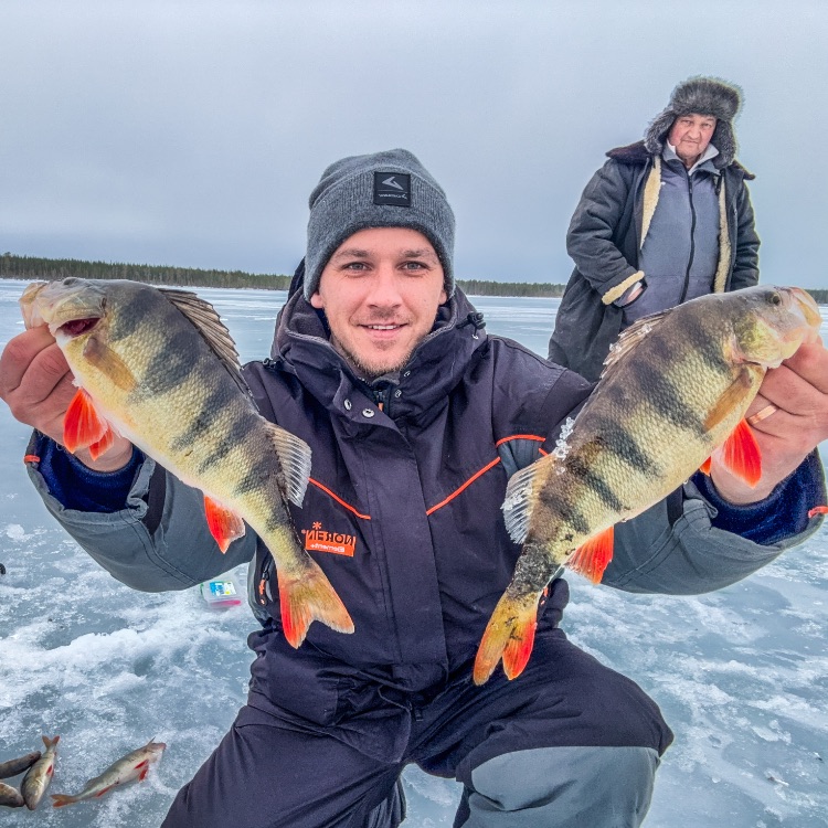 Иконка канала МушкиКарелияТрифонов