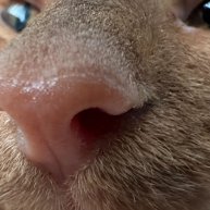 Иконка канала ToshaAndDimag