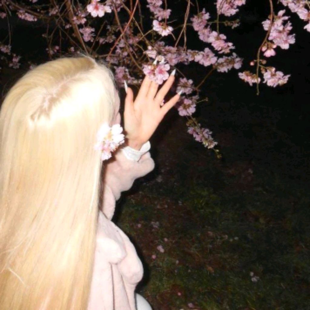 Иконка канала !°.🐾🌸𝐀𝐥𝐢𝐬𝐚 𝐑𝐨𝐛𝐥𝐨𝐱 𝐊𝐢🌸🐾°.!