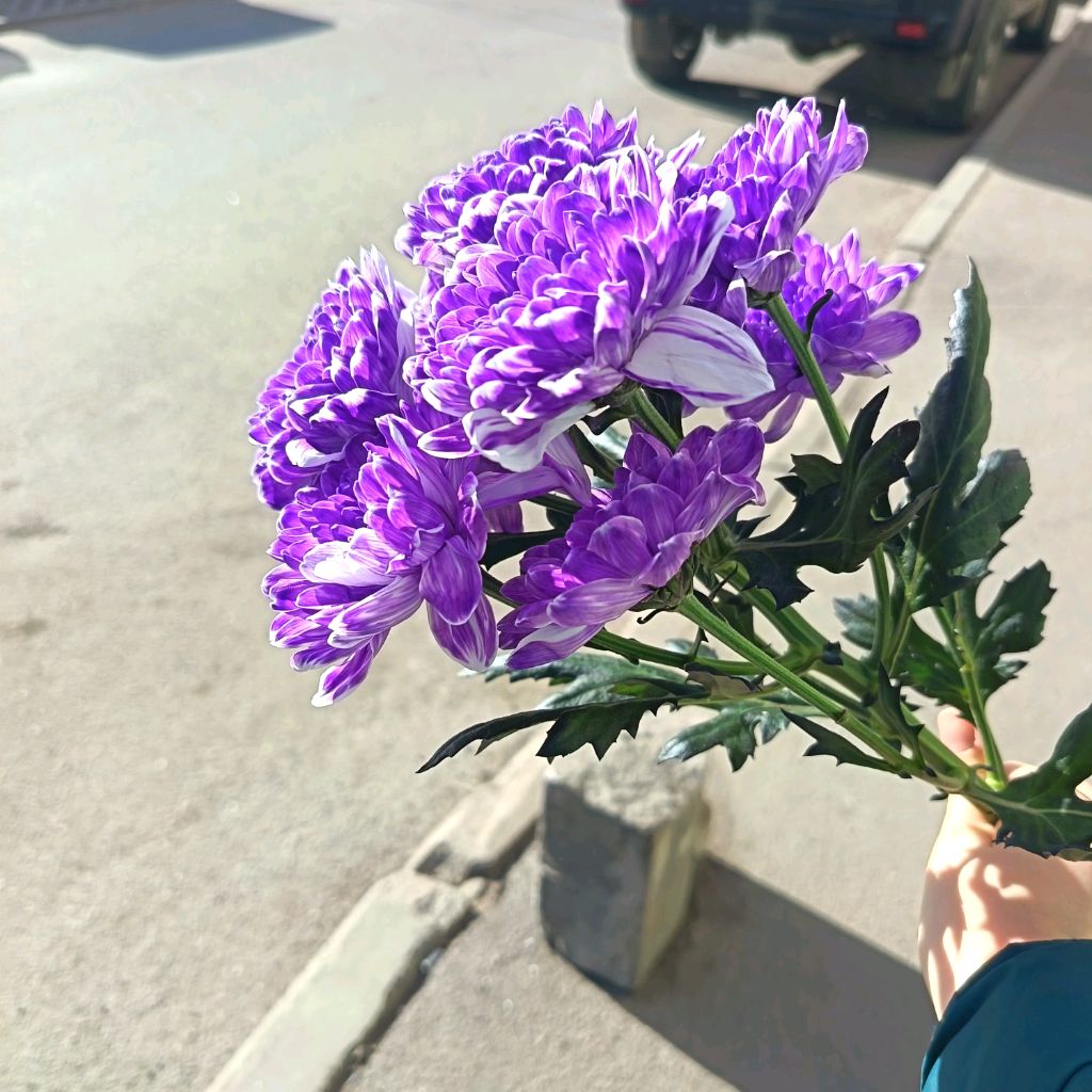 Иконка канала Аленький цветочек -🪻