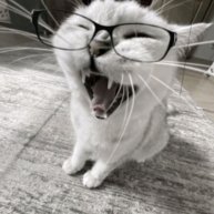 Иконка канала ЗаПеКаНоЧкА24