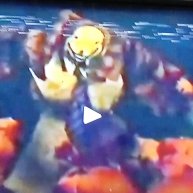 Иконка канала Тыквенный Кролик 666💀☠️