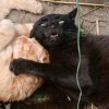 Иконка канала Платон Берикс