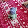 Иконка канала 🌈Сквири🍬
