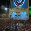 Иконка канала Nixfis