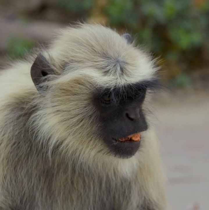 Иконка канала Моя-соцсеть.рф