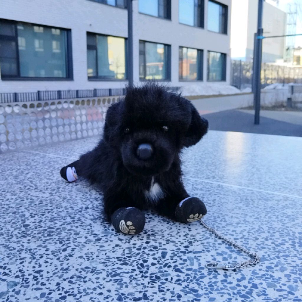 Аватар автора