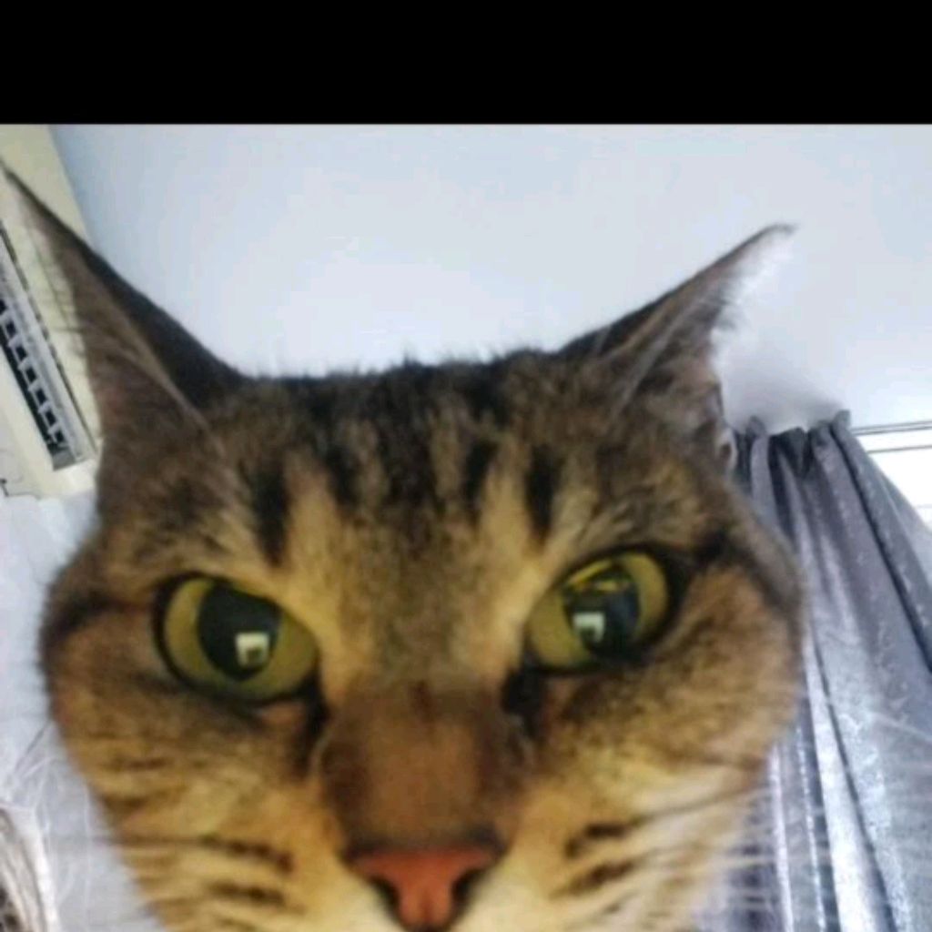 Иконка канала Виктория Тян