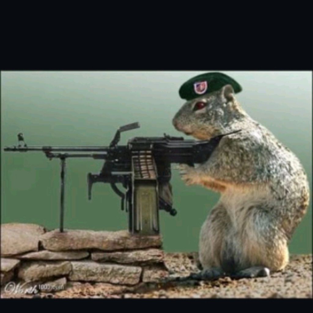 Иконка канала suslik978 С YouTube