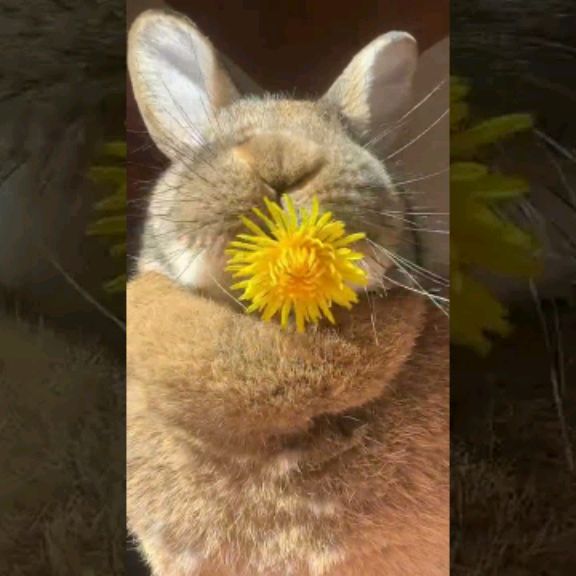 Иконка канала Ярославус30