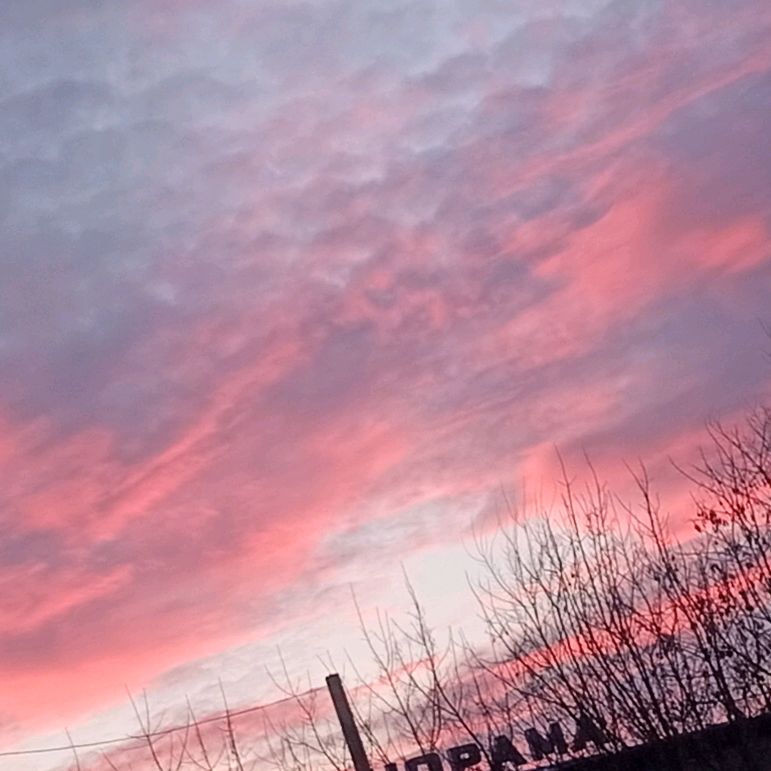 Иконка канала Vika✌🫶❣️