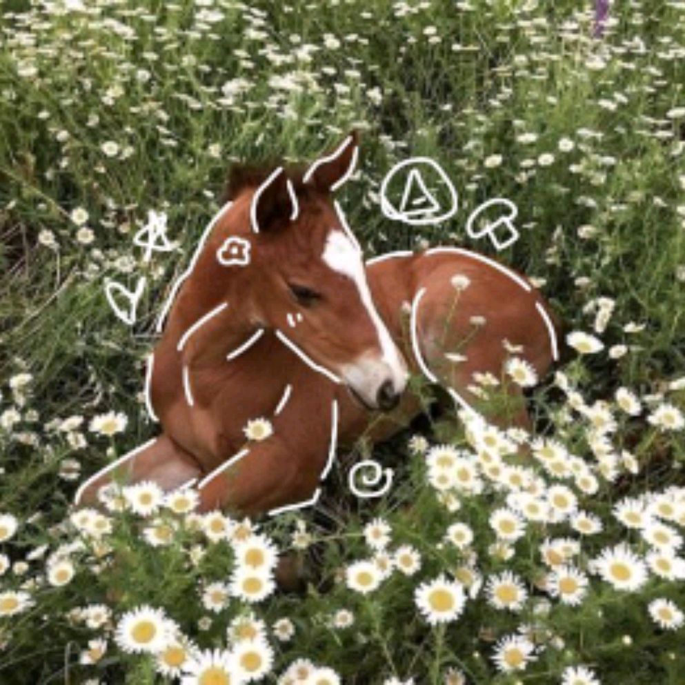 Иконка канала Вероника