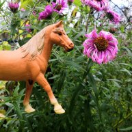 Иконка канала Love Horses 🌹