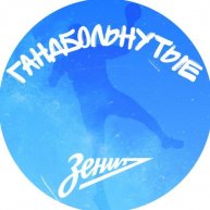 Иконка канала Гандбольнутые | ГК «Зенит»