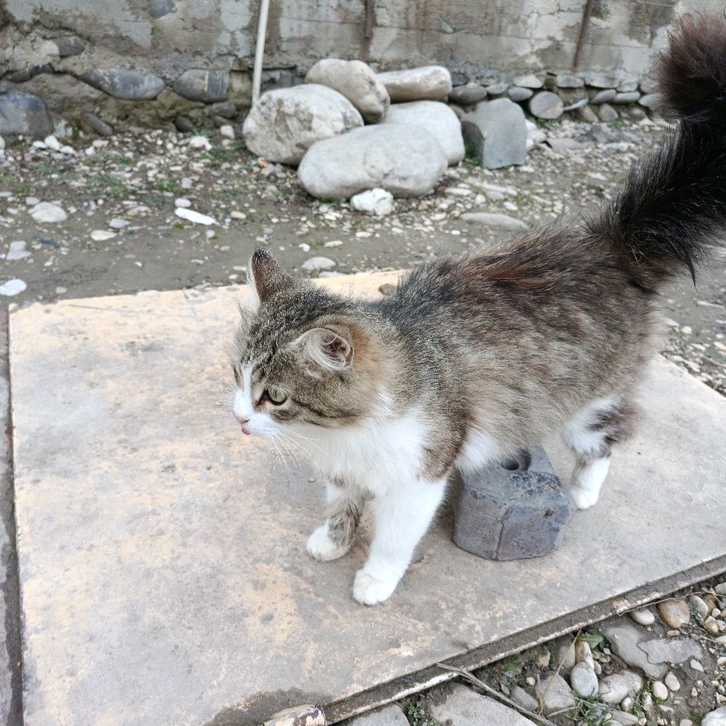 Иконка канала BobrKurva