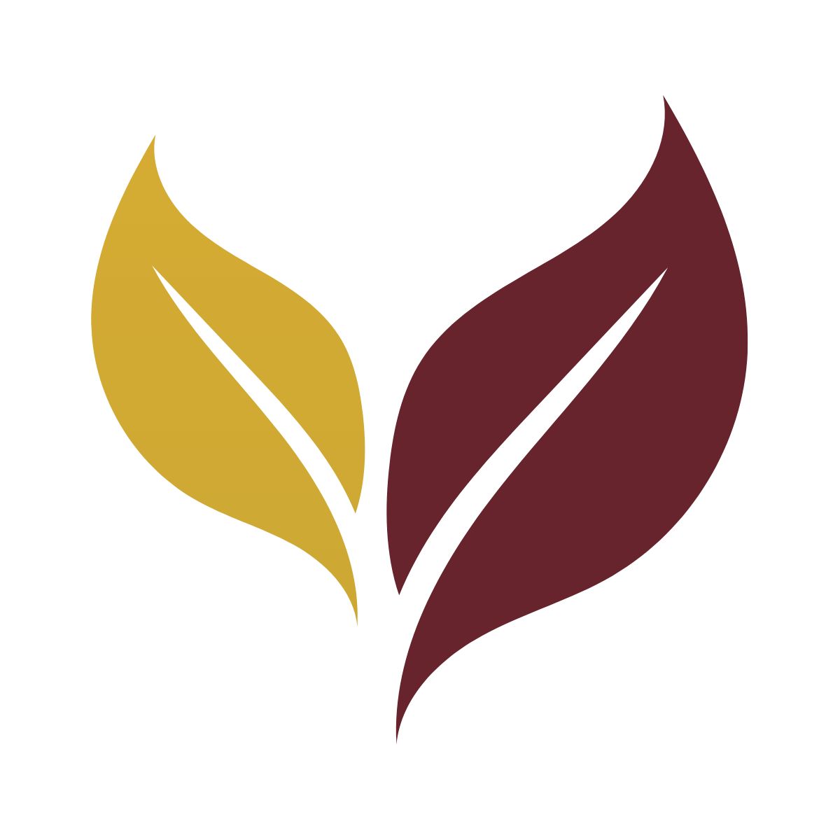 Иконка канала Система Классической Мудрости