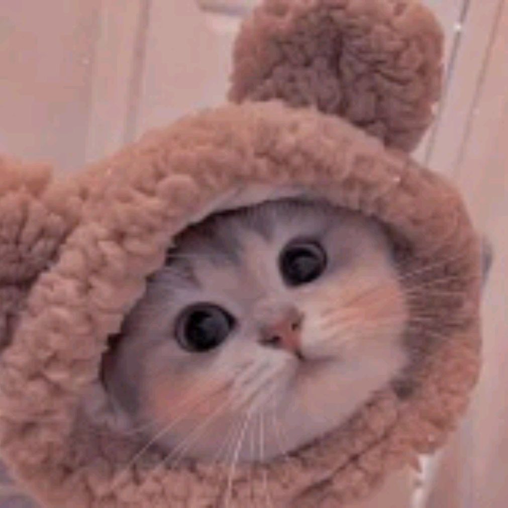 Иконка канала Попугайчик 🦜