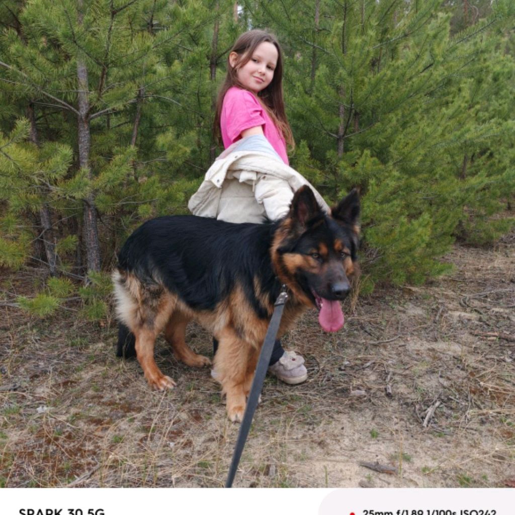 Иконка канала @sasha⋆. 𐙚 ˚