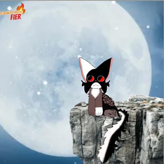 Аватар автора