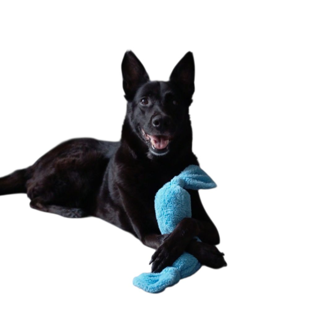 Иконка канала mamdogs