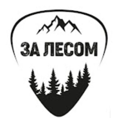 Иконка канала Музыкальный лейбл "За лесом"