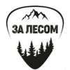 Иконка канала Музыкальный лейбл "За лесом"