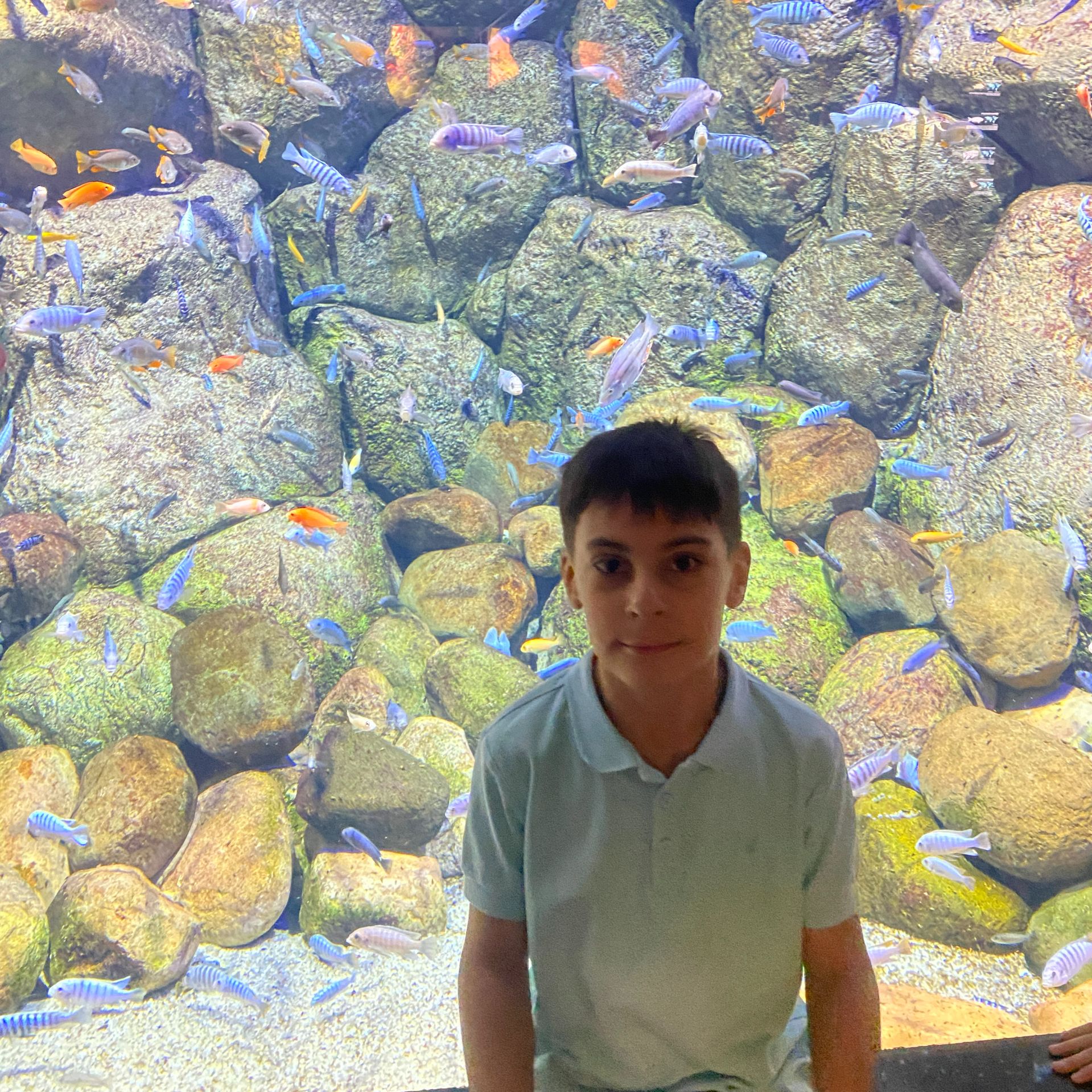 Иконка канала SAMURAI BEK;)