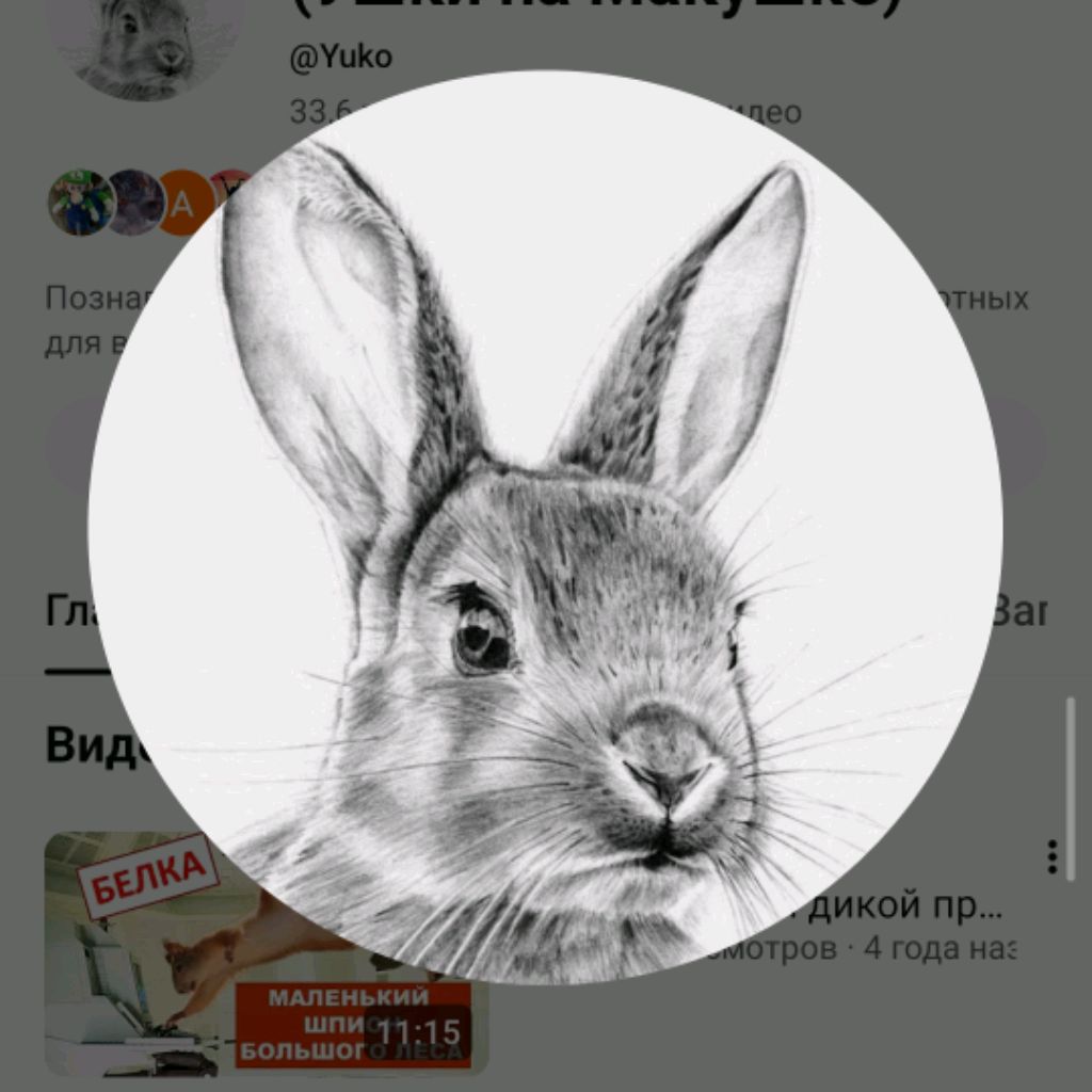 Аватар автора