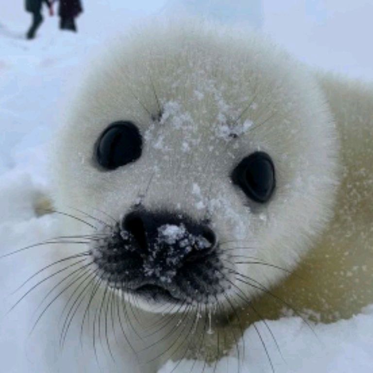 Иконка канала °•~🫐🫧Nefa🫧🫐~•°