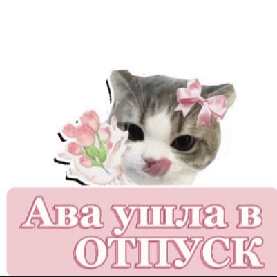 Аватар автора