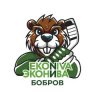 Иконка канала ЭкоНива - Бобров
