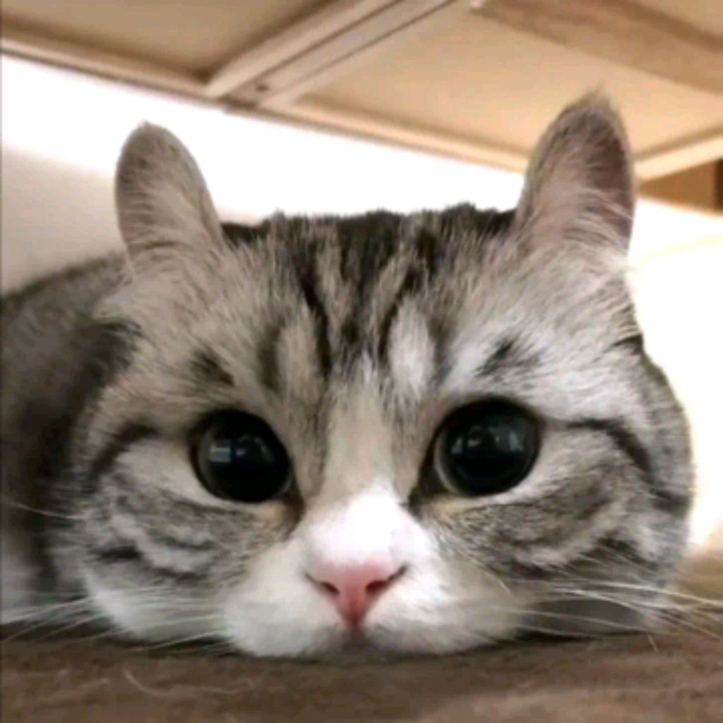 Иконка канала channel76999473