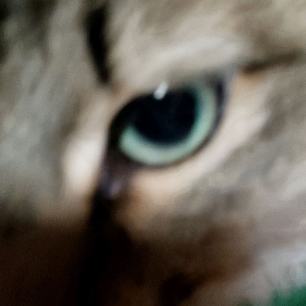 Иконка канала channel75450863