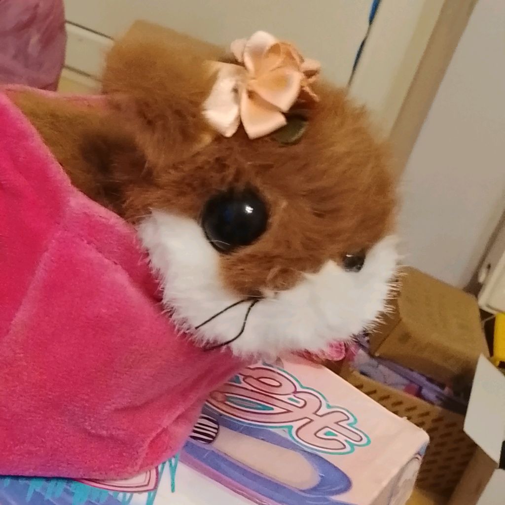 Иконка канала 𓆉РискаИриска𓆉